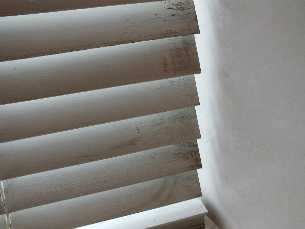 Black mould on bathroom blinds.